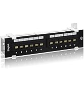 Rapink Patch Panel 12 Port Cat6 10G Support, Network Patch Panel UTP 10-Inch, Wallmount 1U Ethern...