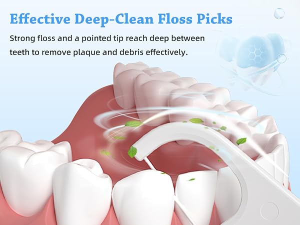 Dental Floss Picks