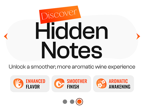 vinvoli wine aerator