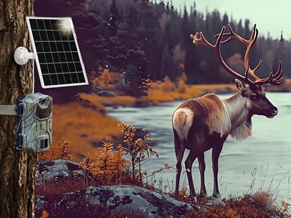 solar charger for wyze