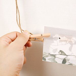 polaroid picture display