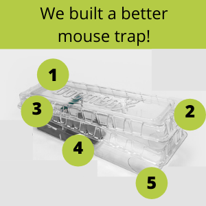 Better mouse trap. Smackdown style trap. See into the container. Mice see a way in and out.