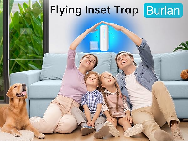Burlan fly trap indoor