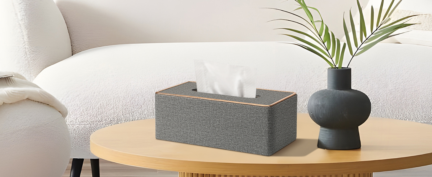kleenexs box holder