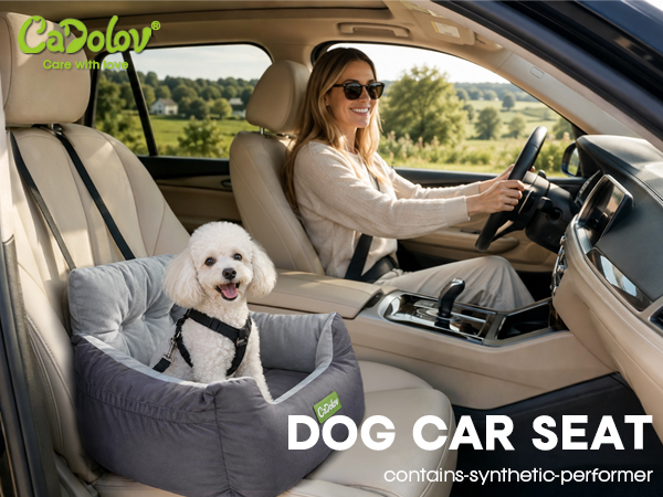 dog car seat