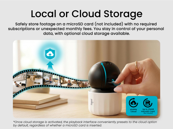 Local or Cloud Storage