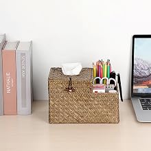Seagrass Tissue Box Holder for desktop