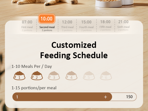 Automatic Cat Feeder