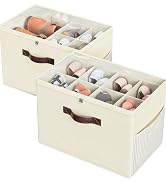 2 Pack Shoe Organizer for Closet