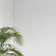 Latex Paint Wall