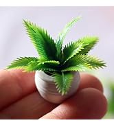 Miniature Dollhouse Potted Plant, 1:12 Scale, for Decoration, Christmas Birthday Present, DIY Han...