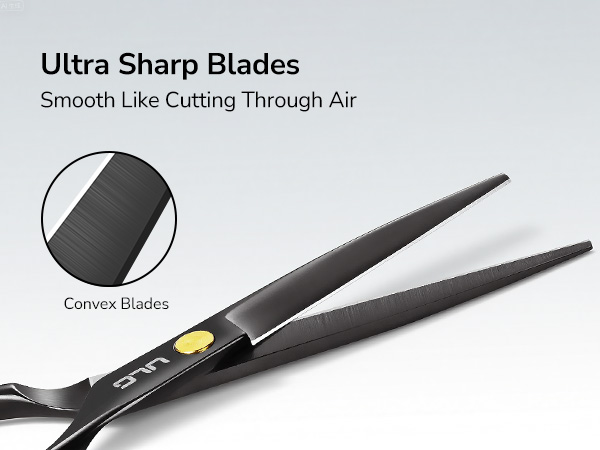 professional hair stylist scissors