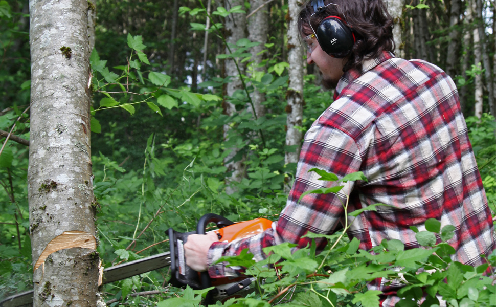 tree cutting, lumber, chainsaw, ear muffs, safety