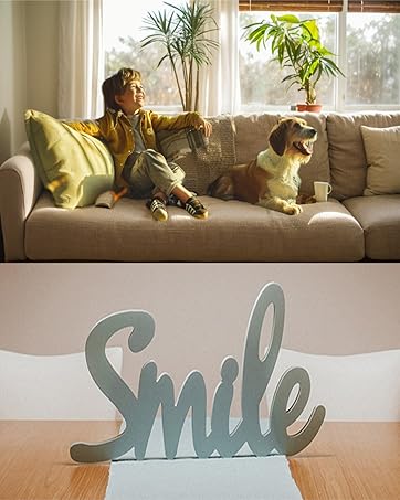 furniture protectors