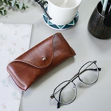 glasses case rayban