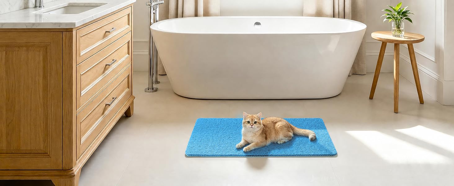 blue shower mat