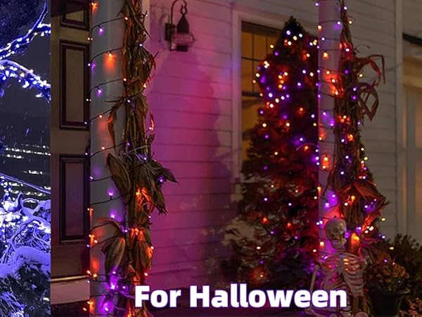 66ft Christmas Decorative Mini Lights