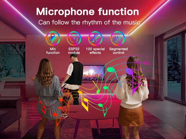microphone
