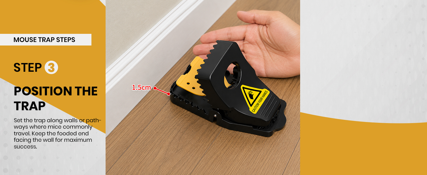 Mouse Traps