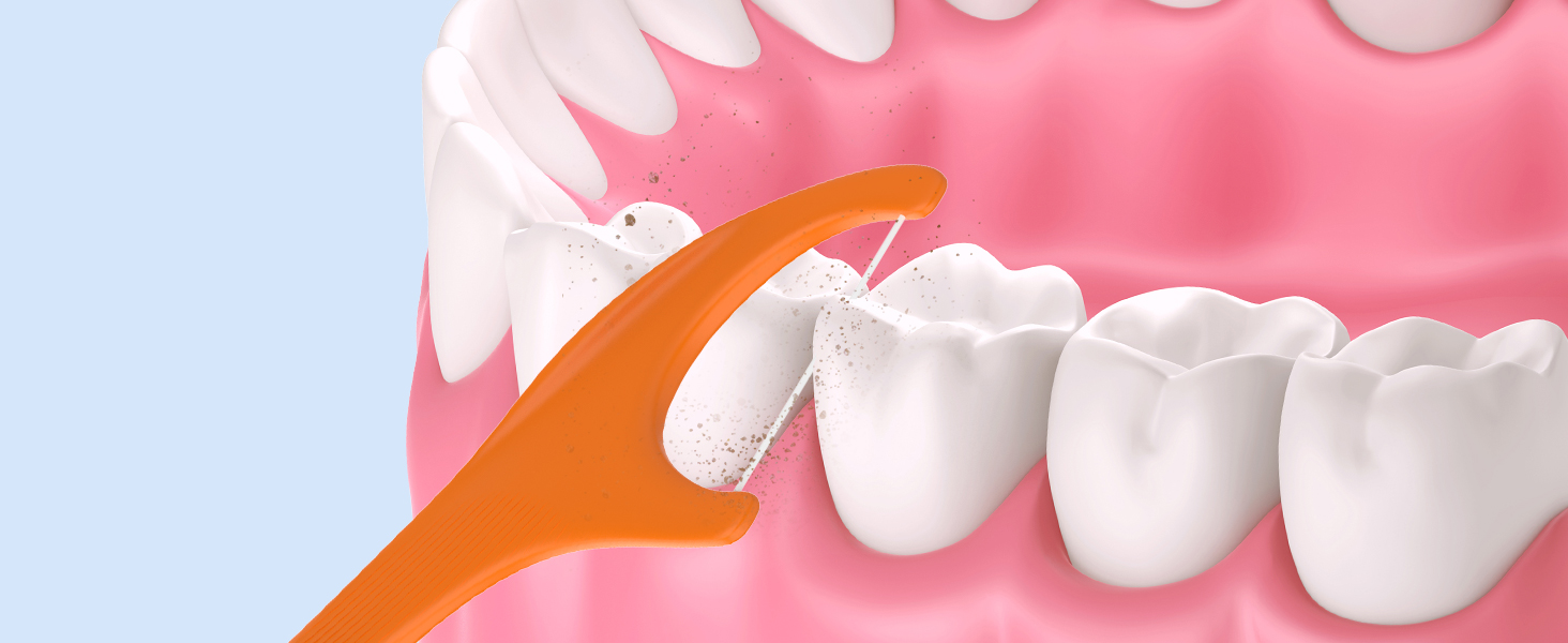 Disposable Toothbrushes with Toothpaste