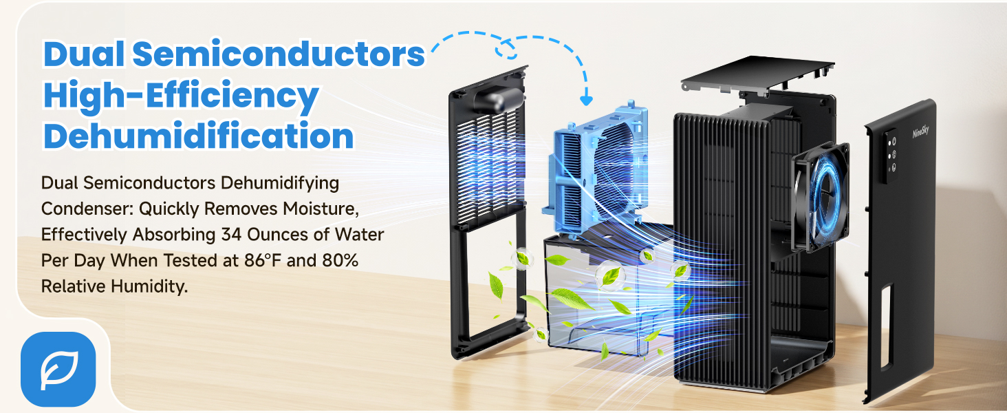 bathroom dehumidifier