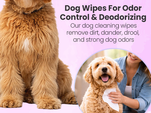 Puppy wipes for quick cleaning between baths