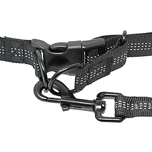 D-Ring Buckle
