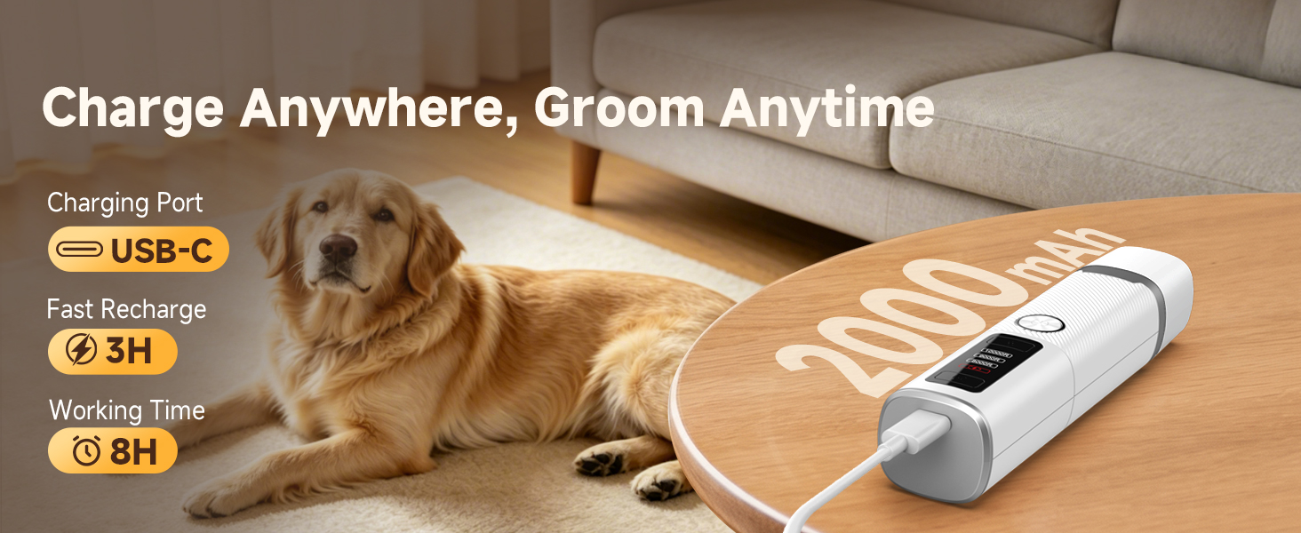 Charge Anywhere, Groom Anytime