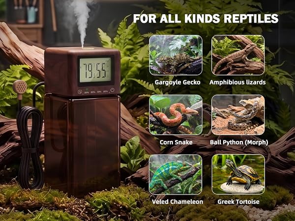 reptile mister