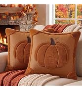 Softalker Fall Throw Pillow Covers 18x18 Set of 2 Rust Orange Pumpkin Plush | Double-Sided Faux F...