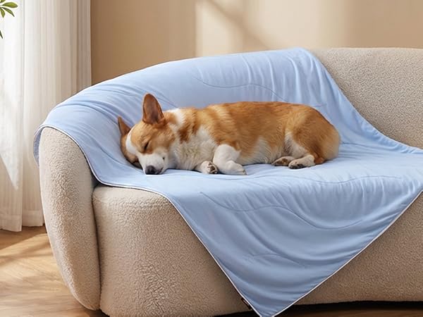 cooling blanket for dogs