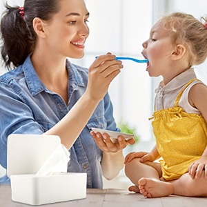 Baby Wipe Holder