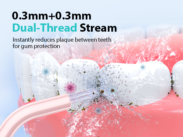 water dental flosser pick for teeth