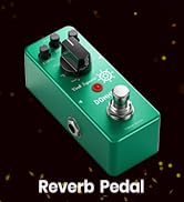reverb pedal