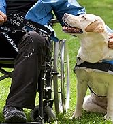service dog leash