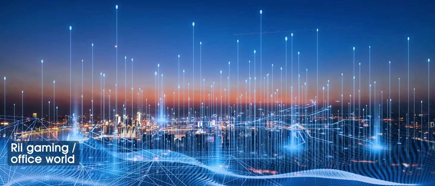 Rii RK202 USB Wired Gaming Keyboard