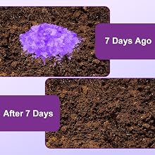 Absorbent Gel Powder