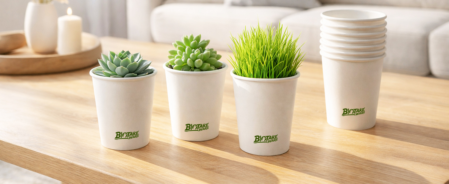 Disposable Paper Cups