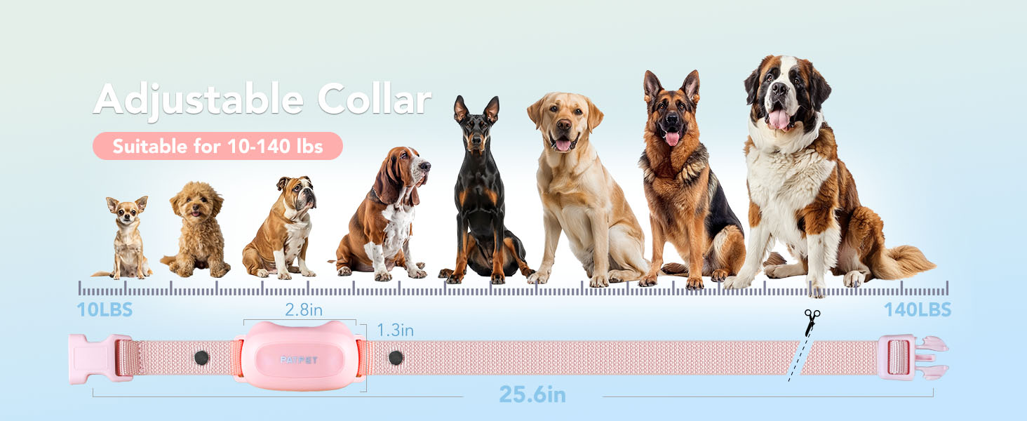 puppy training collar