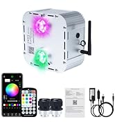 AKEPO 32W Dual-Head Dual Color Twinkle Car Home Fiber Optic Light Engine, Twinkle + Same or Diffe...