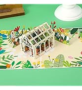 LINSINA Funny Pop Up Birthday Card for Men Women Kids,Pop up Thank You Cards Greeting Cards,Anniv...