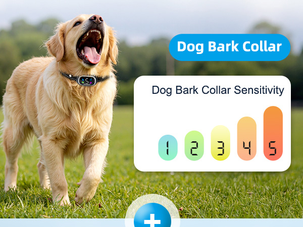 2-in-1 Dog Shock Collar and Bark Collar