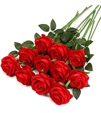 https://m.media-amazon.com/images/S/aplus-media-library-service-media/eead1475-8c9b-41b9-8474-07344a7770c9.__AC_SR200,225___.jpg