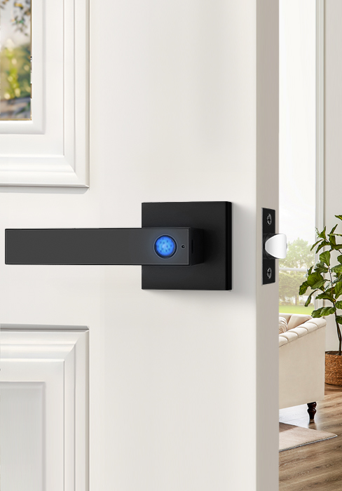 smart door handle