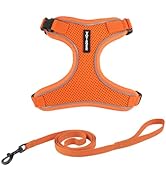 Voyager Escape Proof Cat Harness and Leash Set with Reflective Stitching, Neoprene Handle 5ft - S...