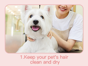 keep clean