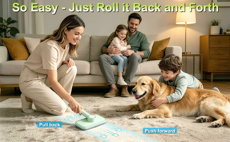Pet Hair Remover