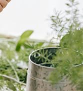 Garden Shears