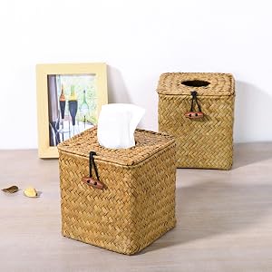 seagrass tissue box cover