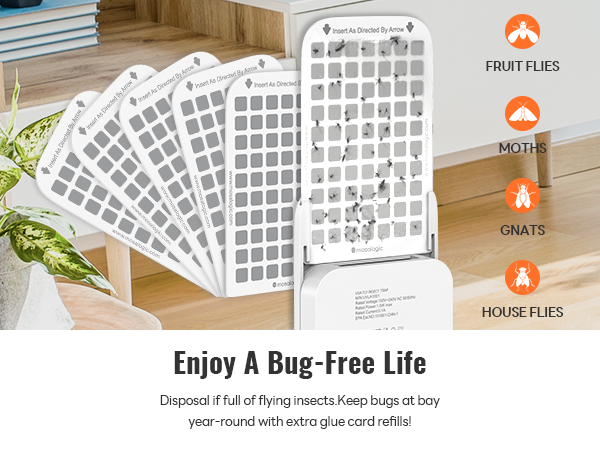 glue boards